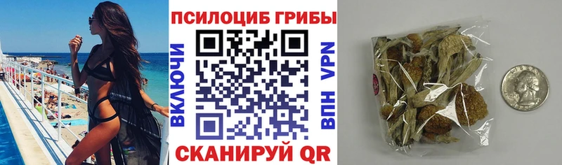 Псилоцибиновые грибы ЛСД  Купить закладки  Юрга 